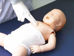 Comprehensive Neonatal Emergency Skill Training Manikin