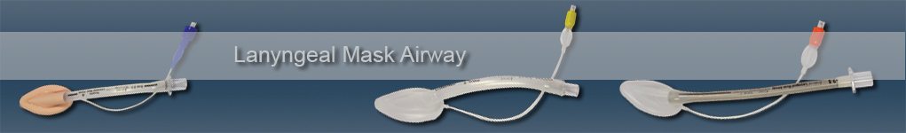Lanygeal Mask Airway